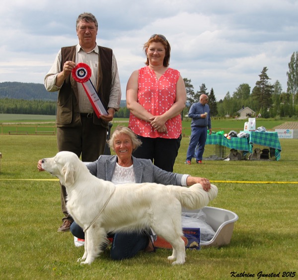 Tindra BIS i Kongsvinger