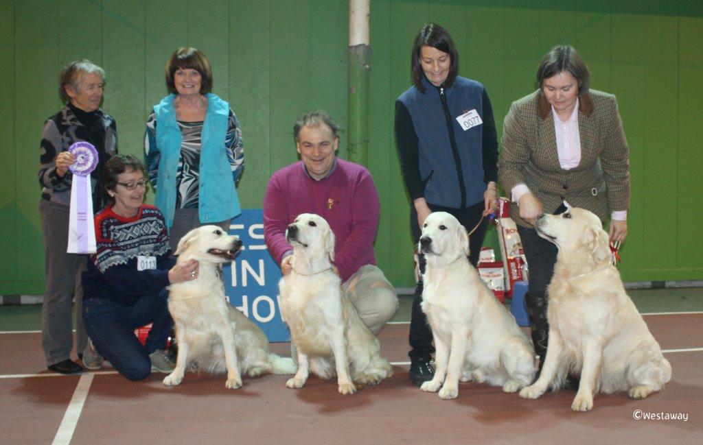 Best breeder
