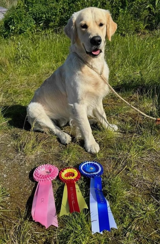 Happy Chappie