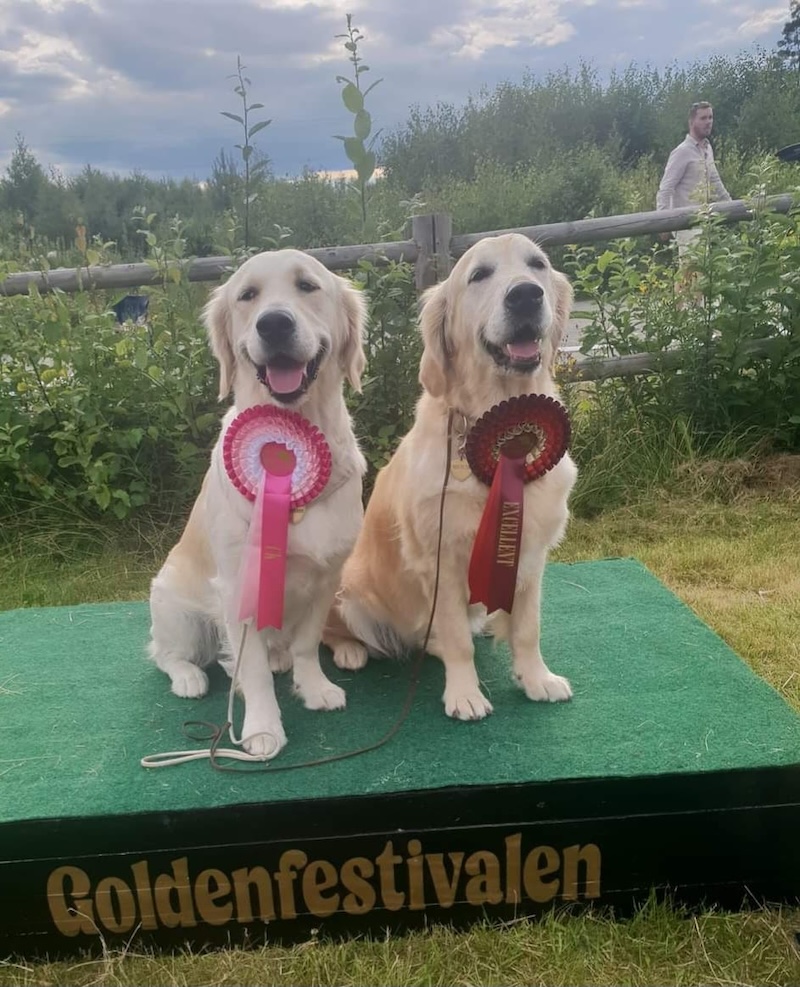 Goldenfestivalen